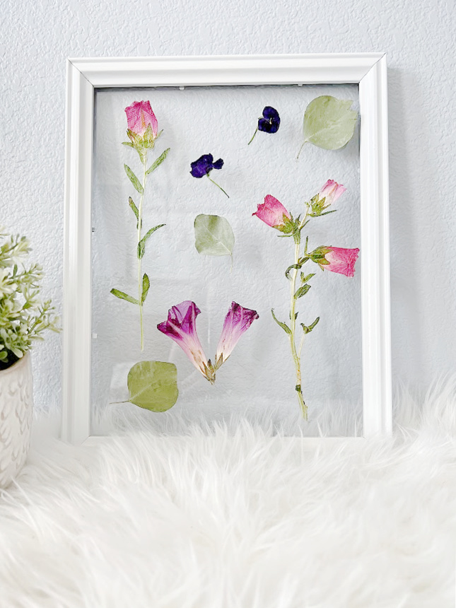 Vintage Pressed Flower Frame Photos Glass Dried Pressed Flowers