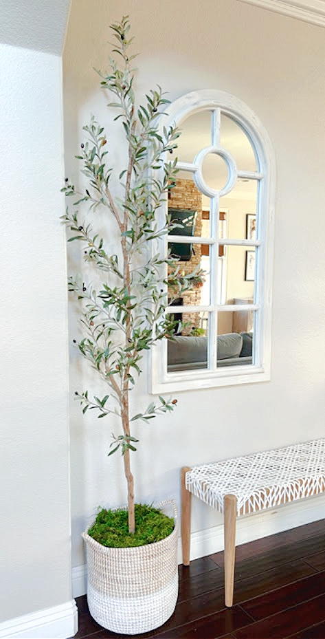 The Ultimate Guide to a Faux Olive Tree - Artificial Plant Shop