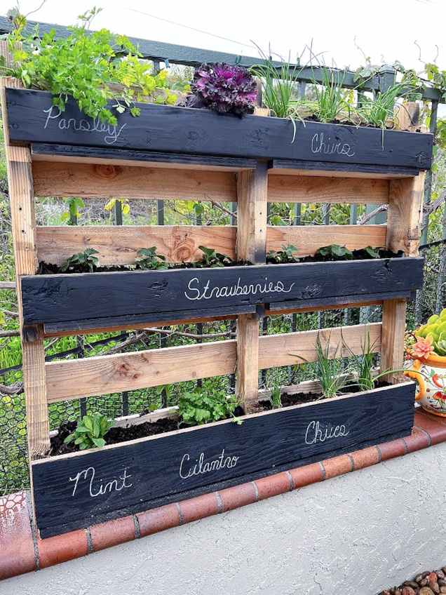 DIY Pallet Herb Garden - My Uncommon Slice of Suburbia