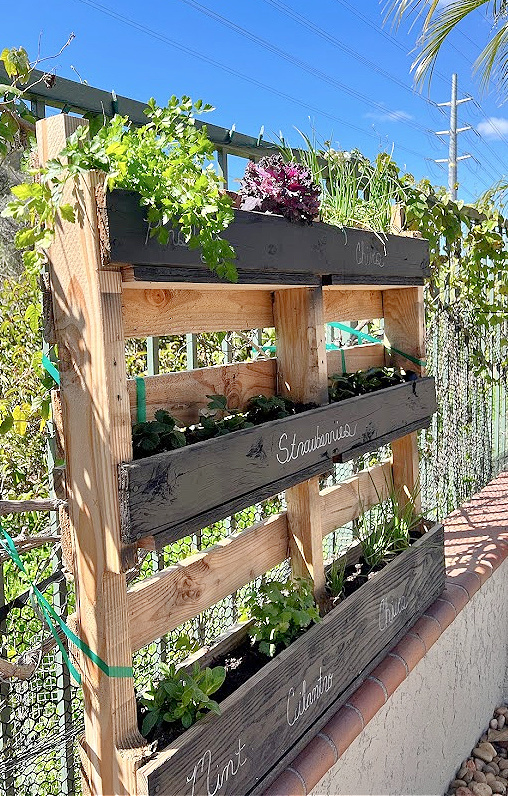 DIY Pallet Herb Garden - My Uncommon Slice of Suburbia