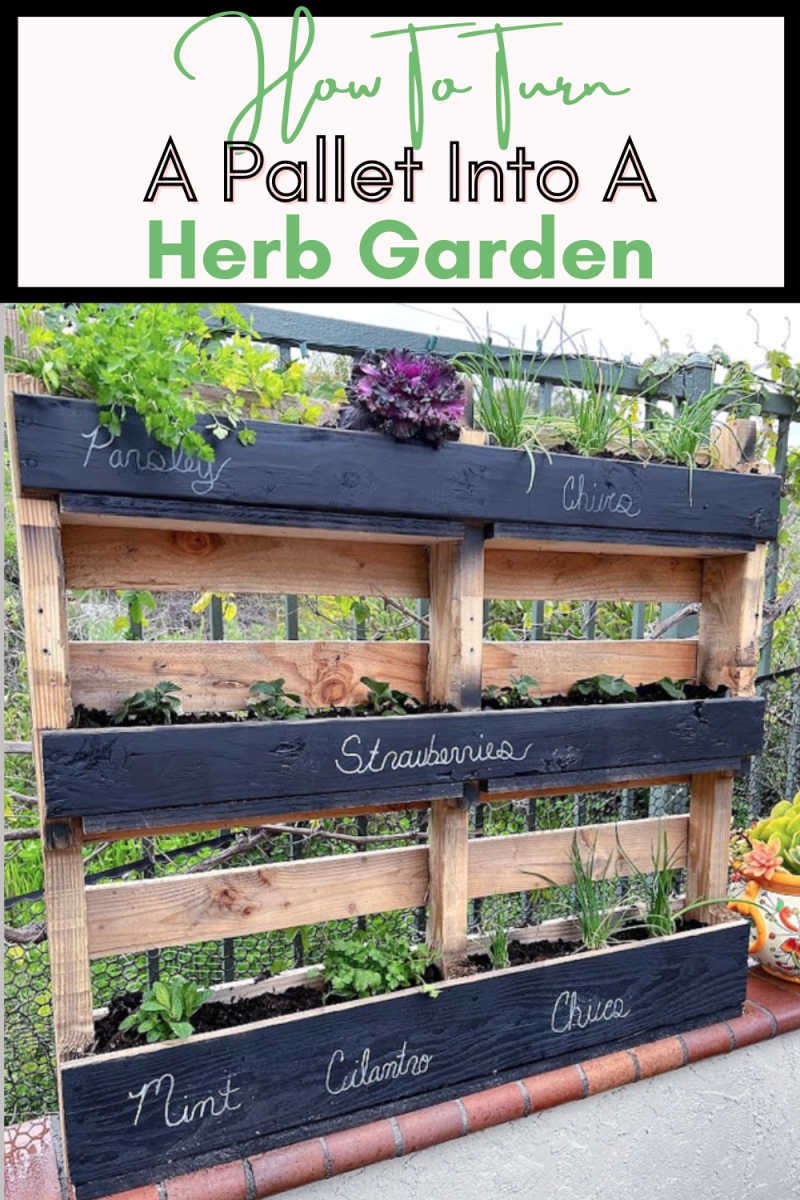 Transform Your Outdoor Space With A Pallet Garden Learn How To Create 