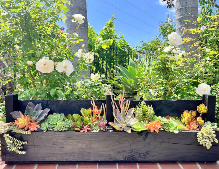 Easy DIY Succulent Planter Made From a Wood Pallet