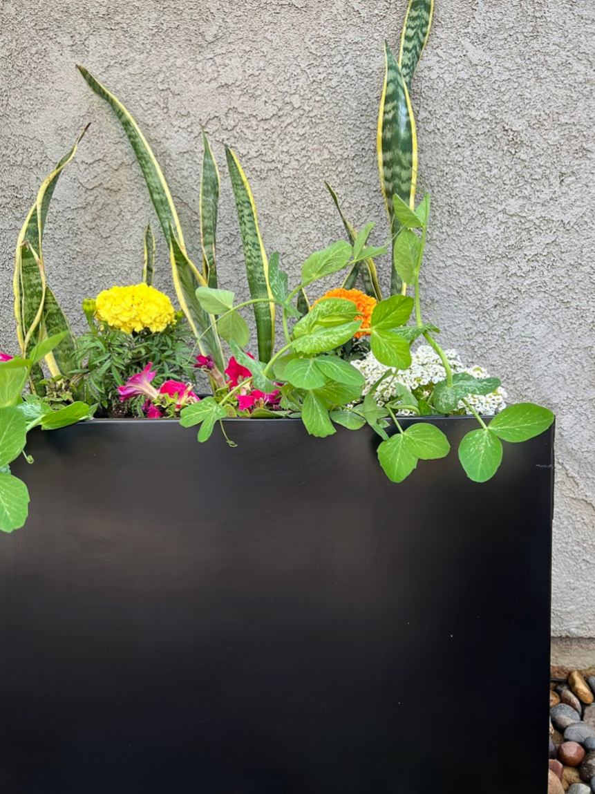 How To Turn a Old File Cabinet Into a Modern Planter