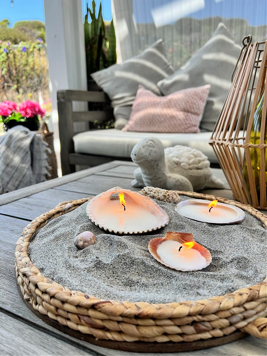 Sea Shell Candles
