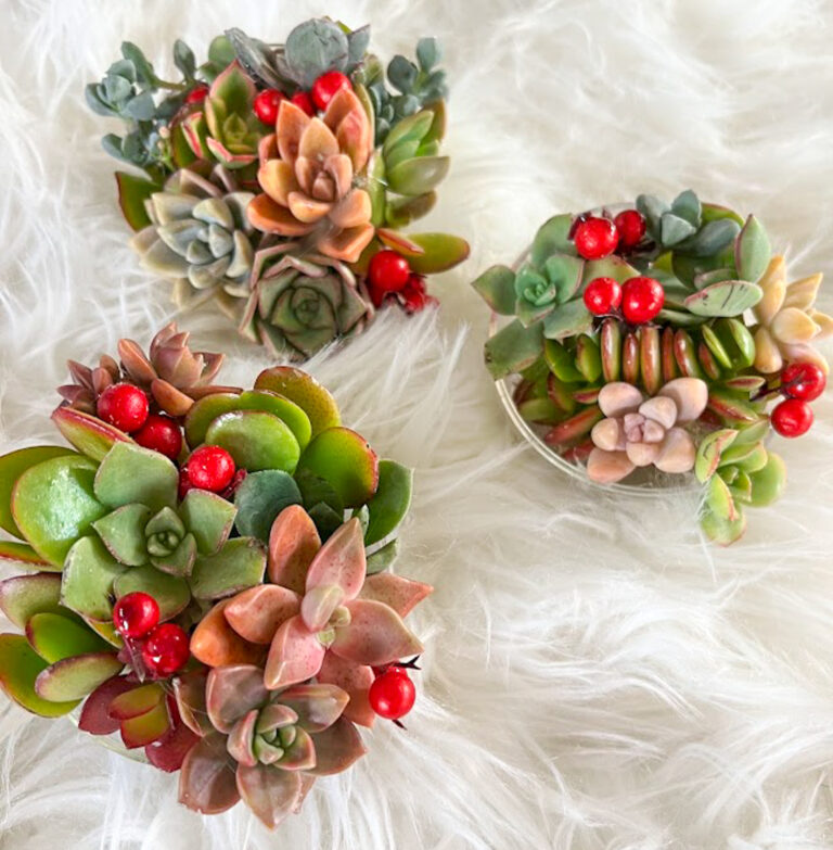 How to make a DIY Succulent Christmas Ornament