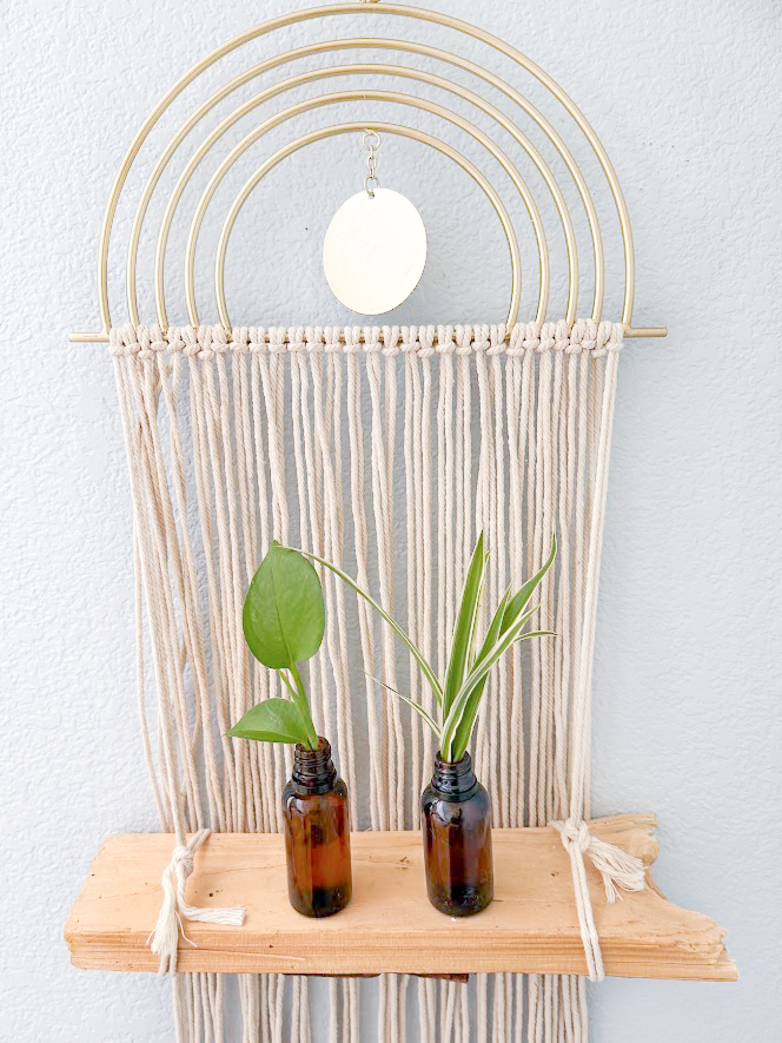 Turn a macrame wall hanging into a propagation station