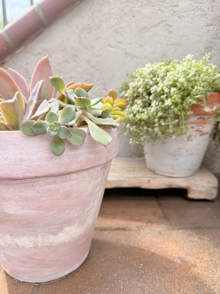 How To Age Terracotta Pots with Paint and Wax