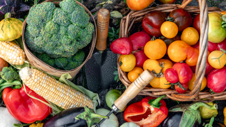 Top 15 Container Gardening Projects Perfect for Small Spaces